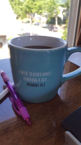 a wise teacher makes learning a joy